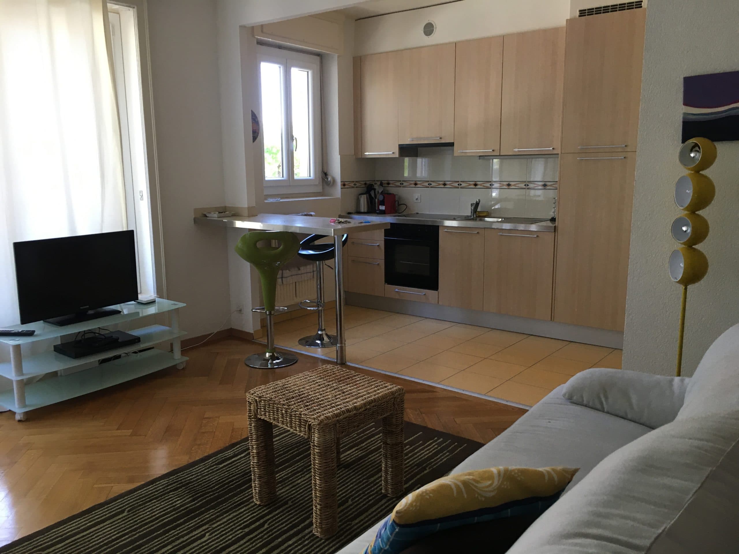 Bright studio with lake view, 1.5 rooms