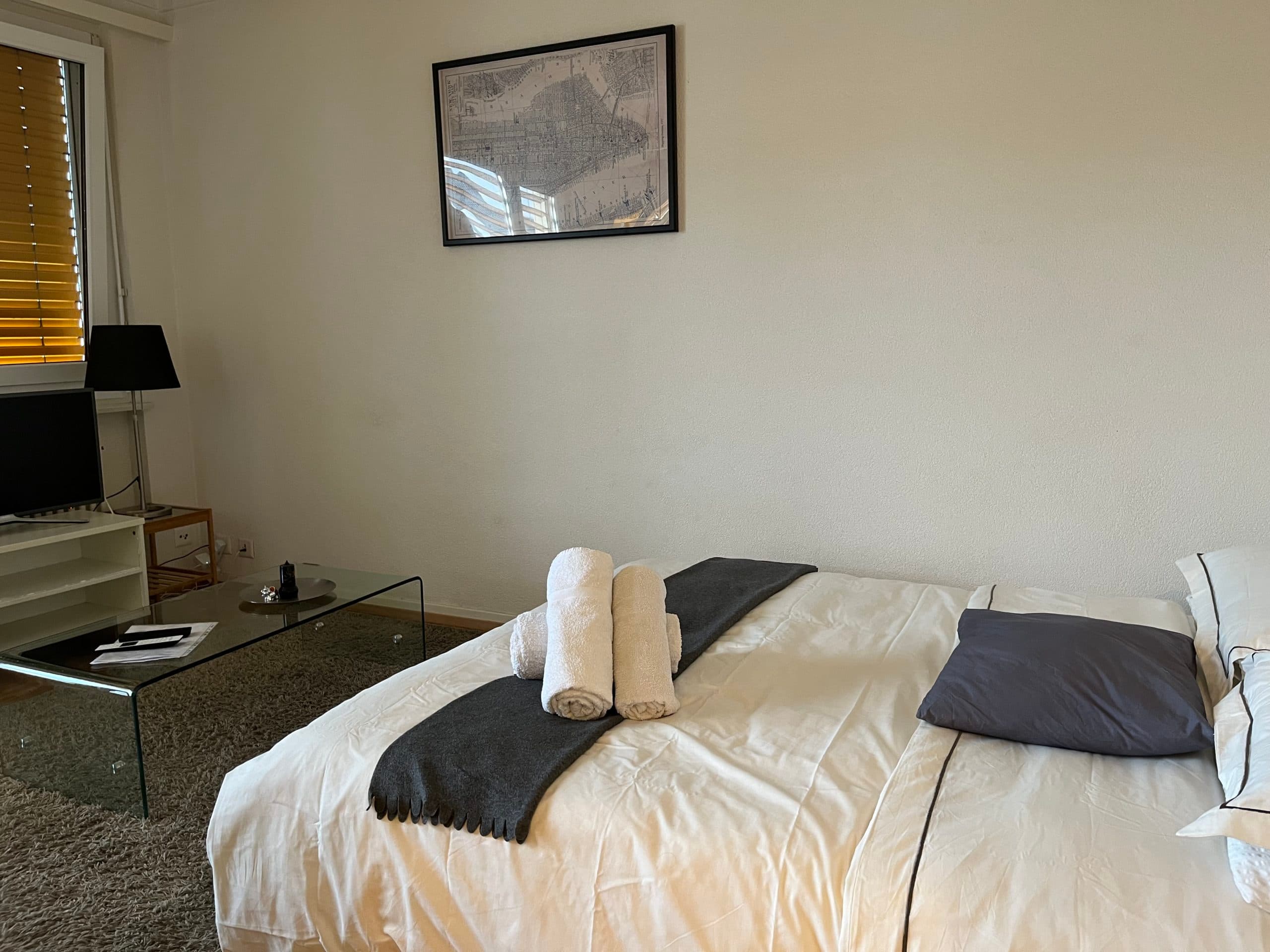 Furnished 1.5-room apartment – Lausanne